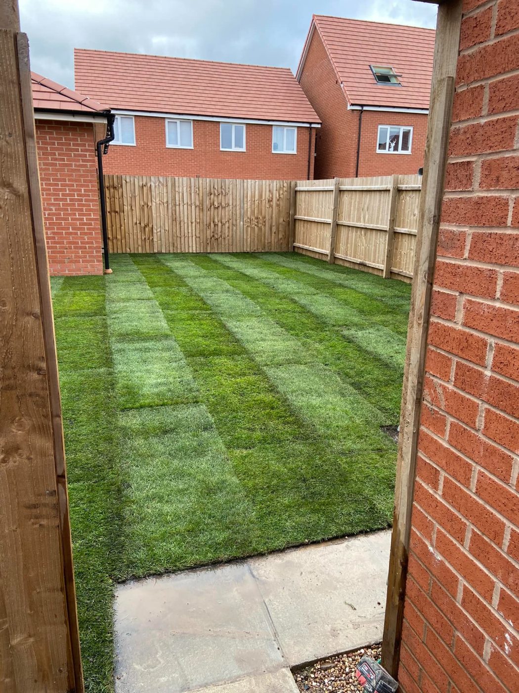 New turf laid in a fenced garden